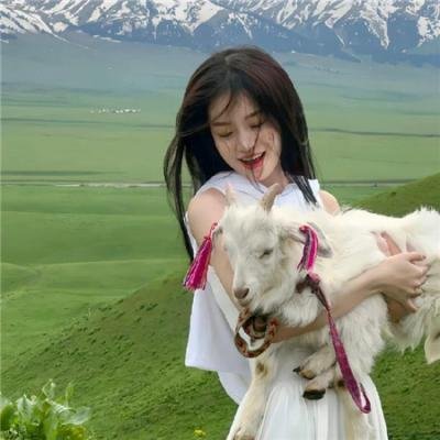 坚如磐石